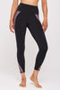 Ada Dream Multi Stripe Legging- Black