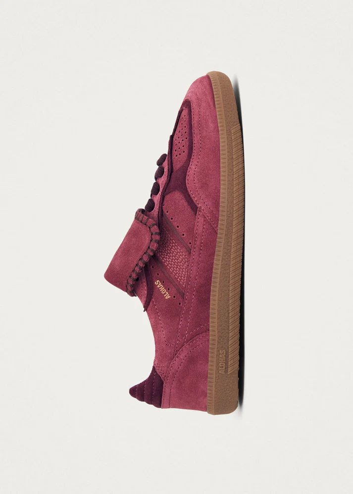 TB. 490 Club Suede Leather Sneakers - Raspberry