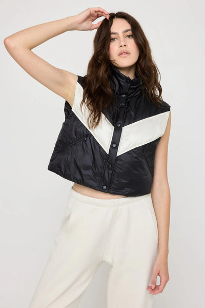 Scout Vest- Black